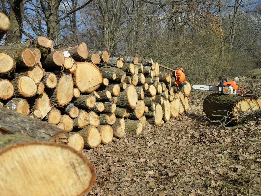 Brennholz Bad Rodach